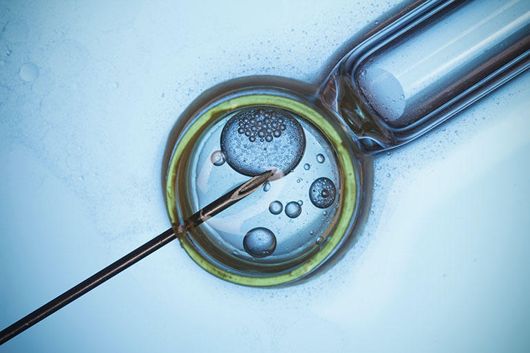 IVF treatment cost in UK