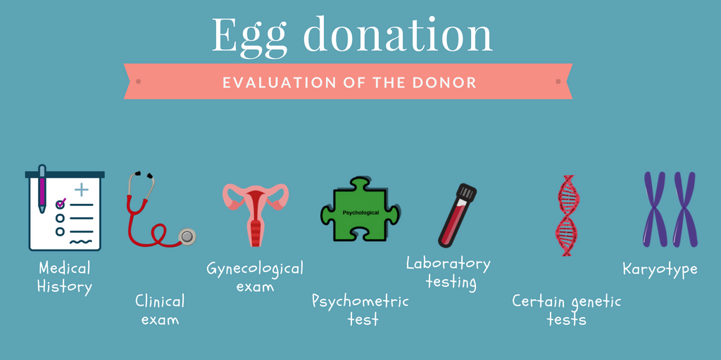 egg donor in cyprus