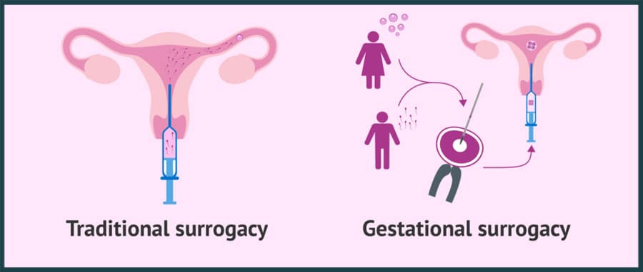 traditional surrogacy and gestational surrogacy