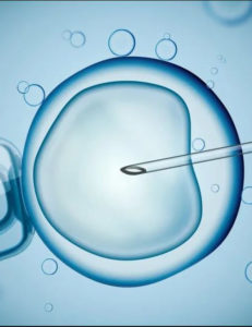 embryo donation in UK