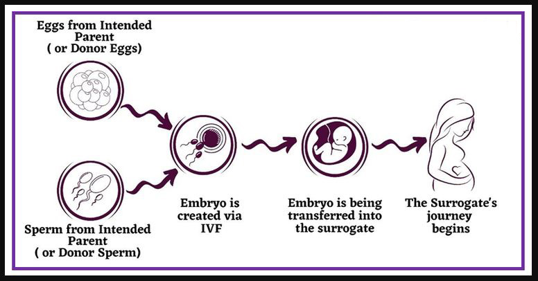 ivf-surrogacy