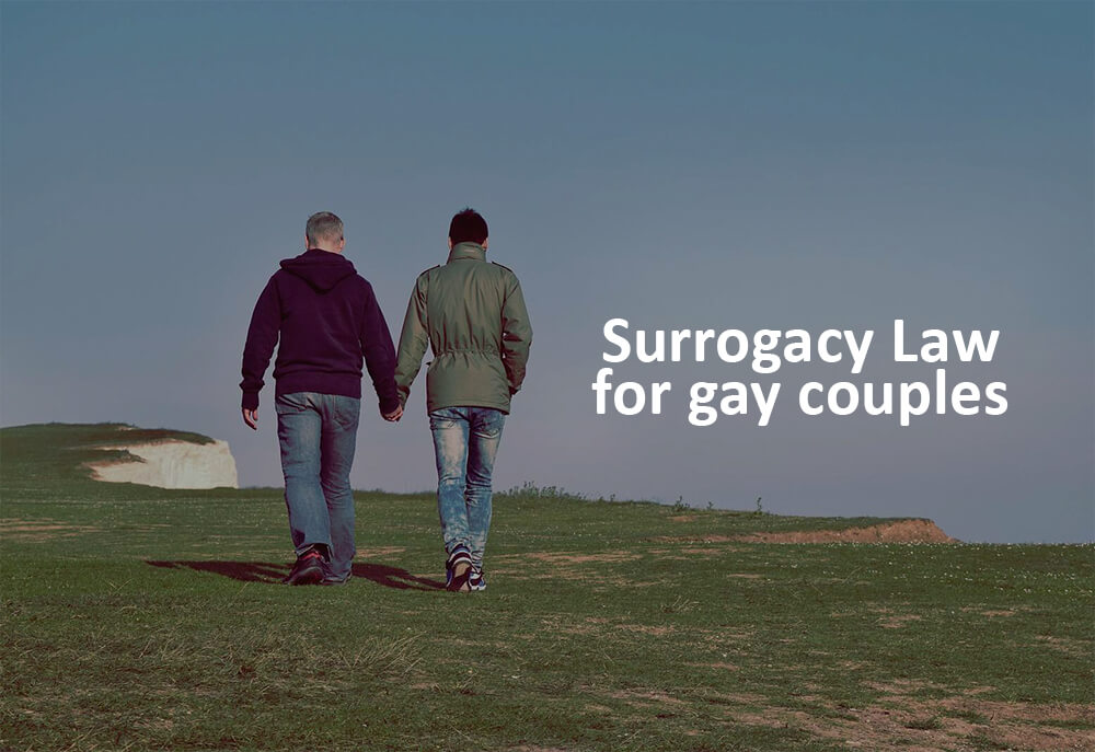surrogates for gay couple