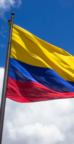 Surrogacy in Colombia