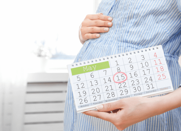 Surrogacy Timeline