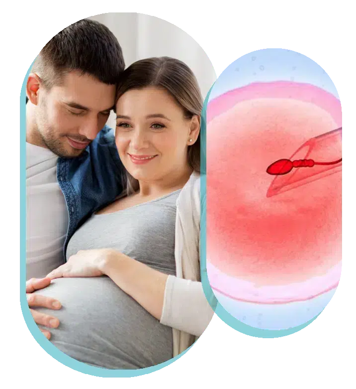 IVF treatment in England