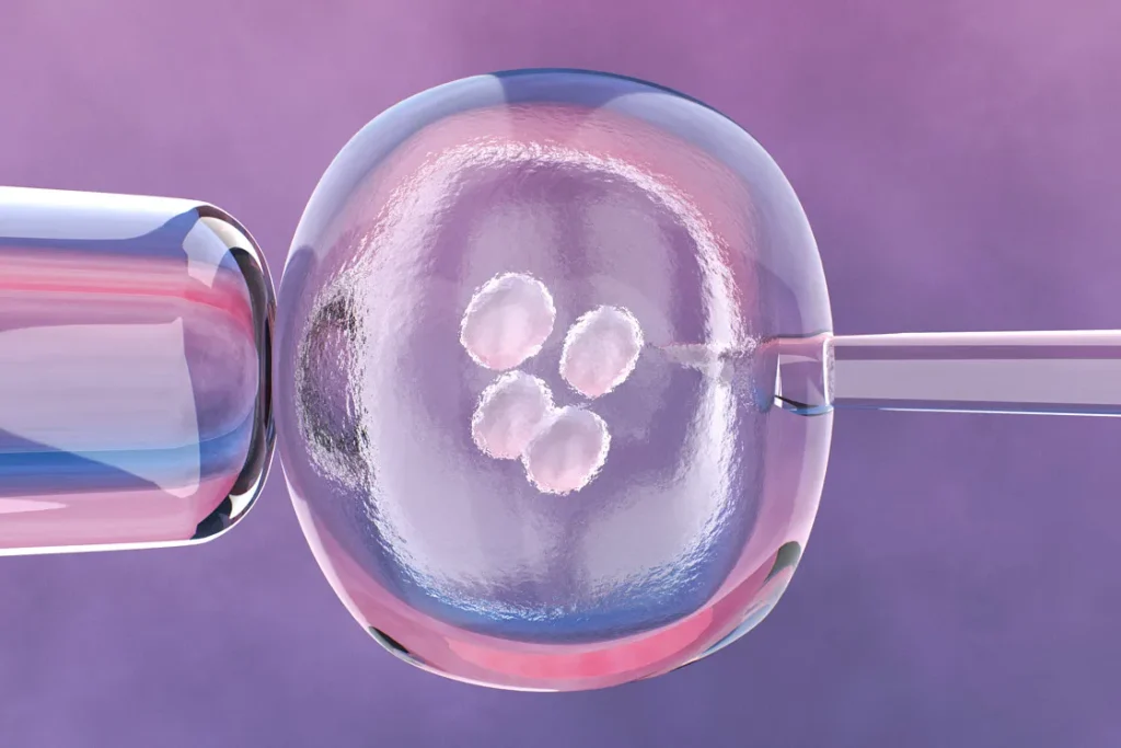 What Is IVF and How Does It Work