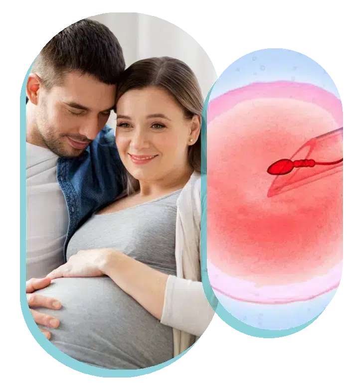 ivf treatment in ireland
