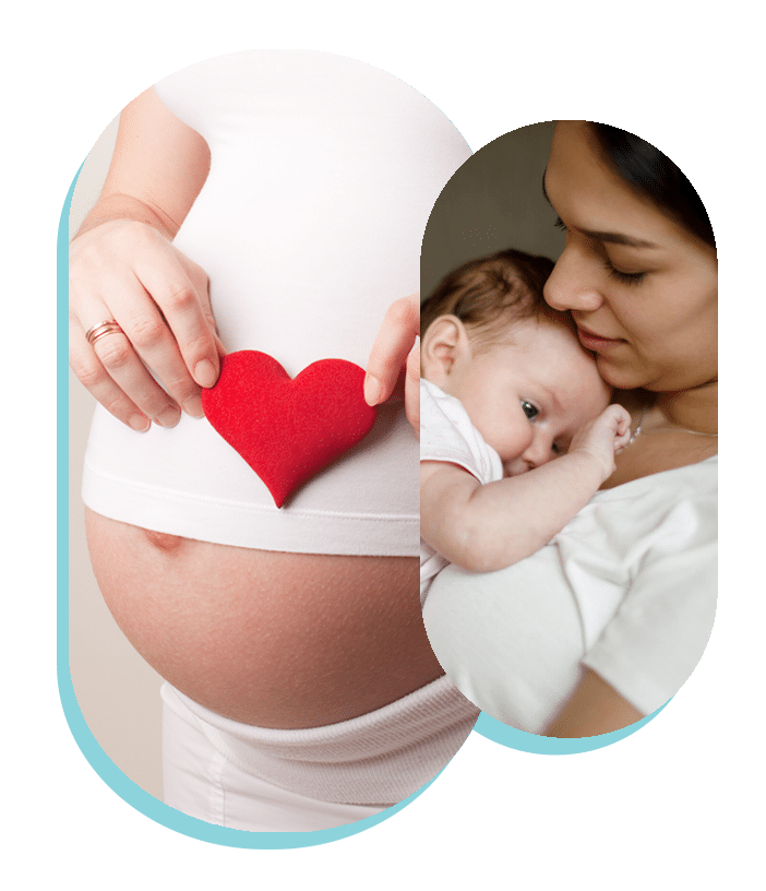 surrogate mother in belgium