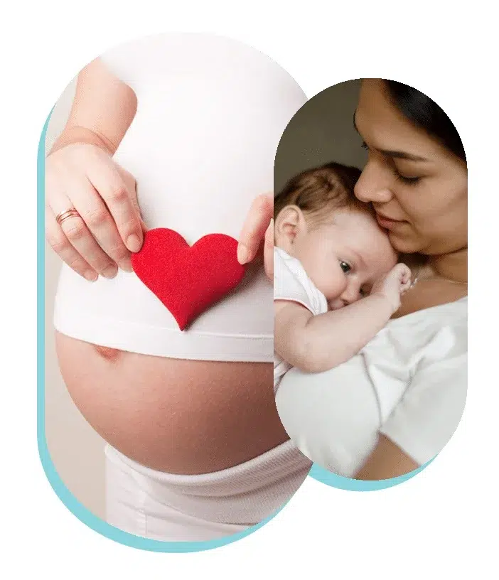 surrogate mother in sweden